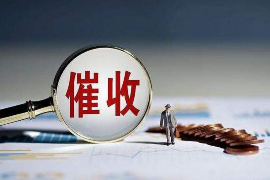 来安遇到恶意拖欠？专业追讨公司帮您解决烦恼