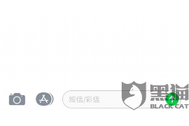 来安为什么选择专业追讨公司来处理您的债务纠纷？